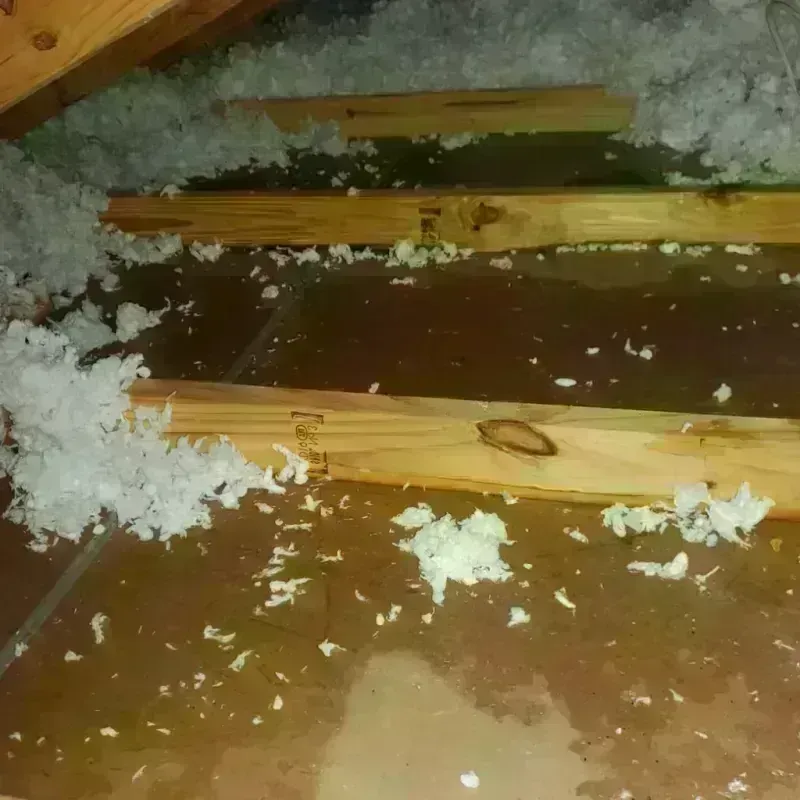 Attic Water Damage in Polk County, MO