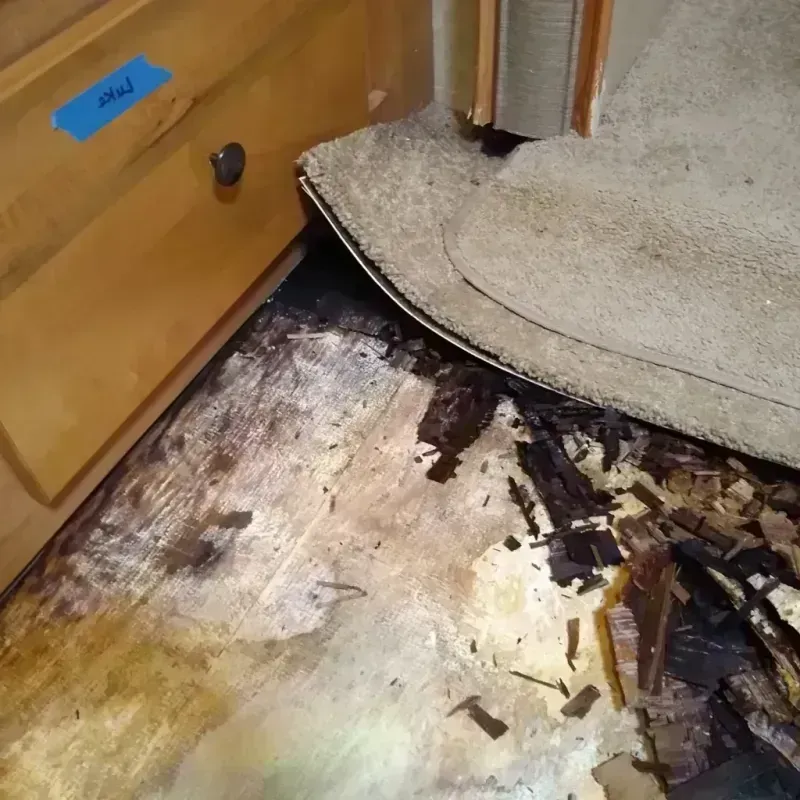 Wood Floor Water Damage in Polk County, MO